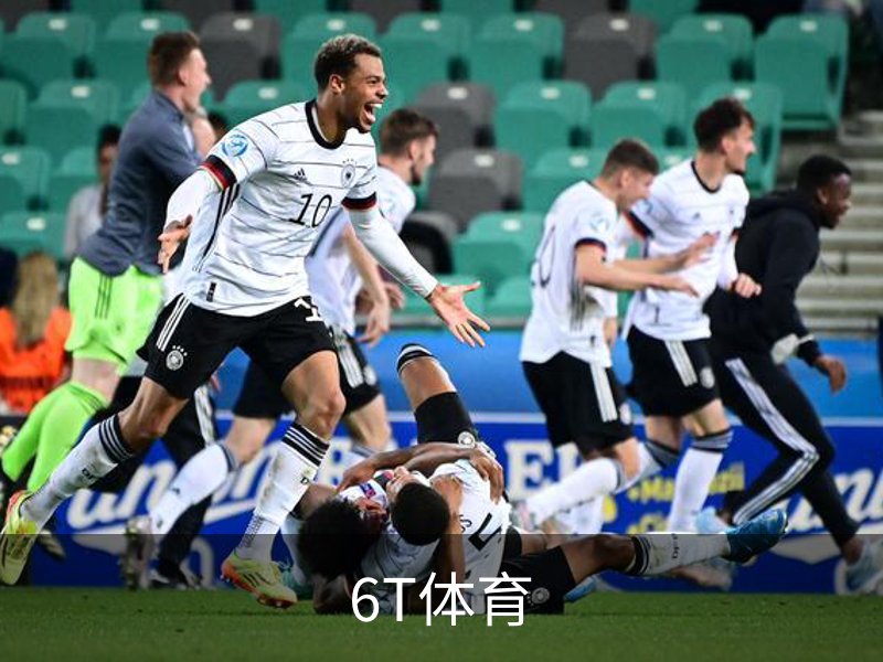 6T体育概况